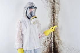 Best Mold Removal for HVAC Installations  in Marshall, TX